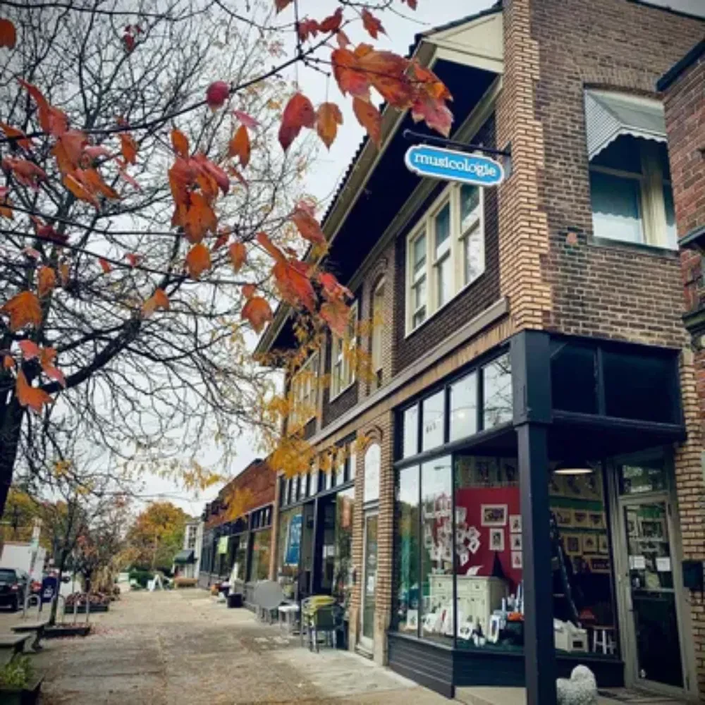 image of Musicologie location